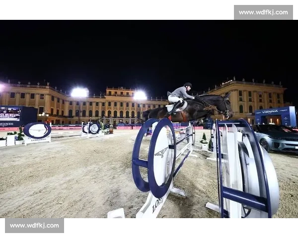 世界马术比赛的顶尖较量与赛事发展趋势分析